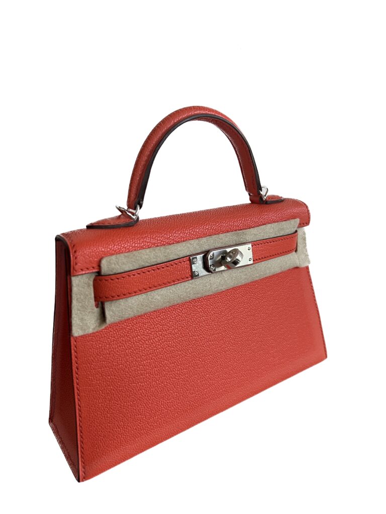 HERMÈS SELIER フリスビー オレンジ HERMES エルメス 犬用フリスビー ウフ バイオプラスチック フー